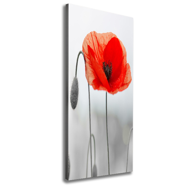 Tablou canvas wildflowers maci