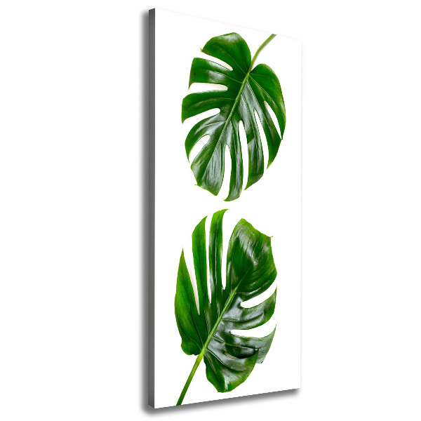 Imprimare tablou canvas Monstera