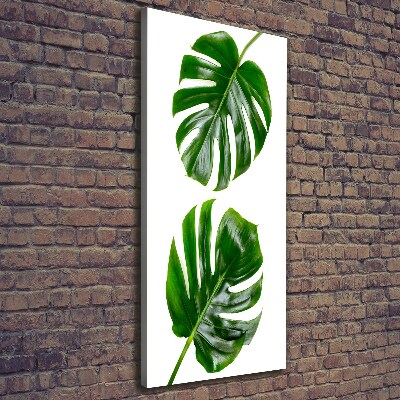 Imprimare tablou canvas Monstera