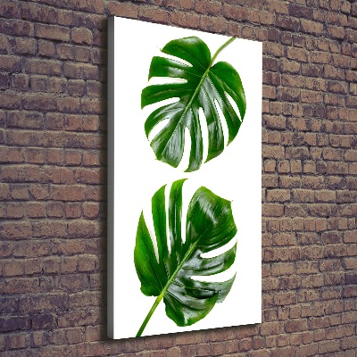 Imprimare tablou canvas Monstera