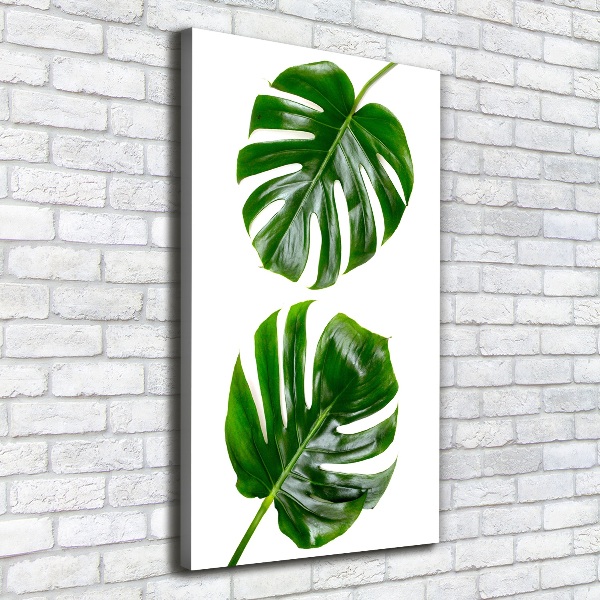 Imprimare tablou canvas Monstera