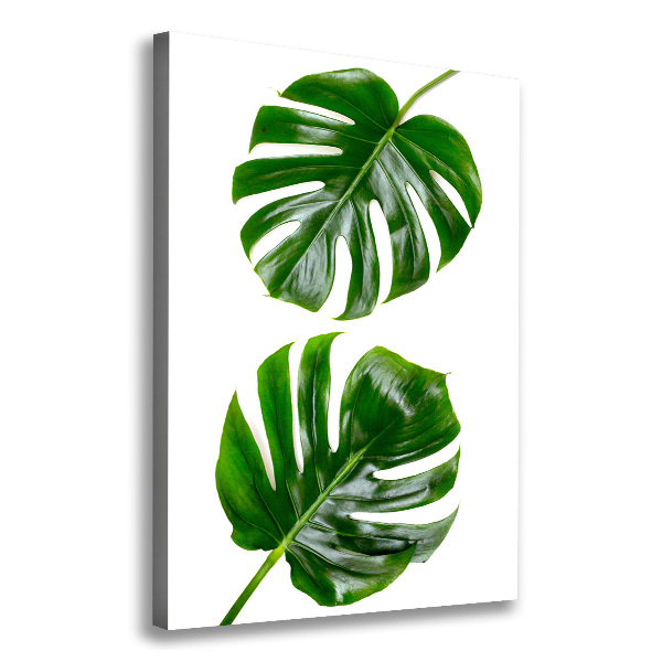 Imprimare tablou canvas Monstera