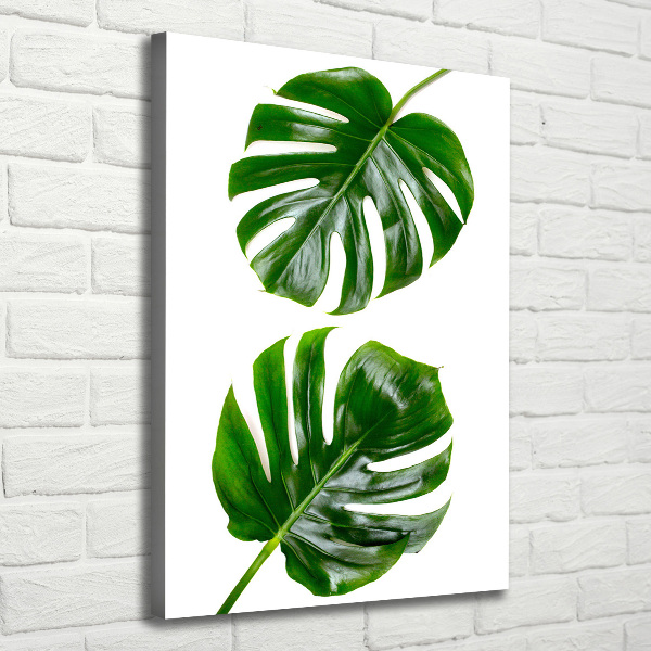 Imprimare tablou canvas Monstera