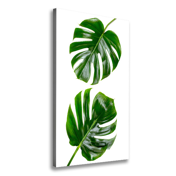 Imprimare tablou canvas Monstera