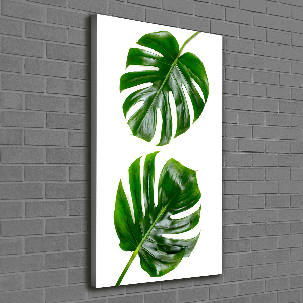 Imprimare tablou canvas Monstera