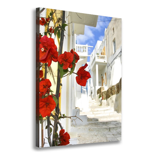 Tablou canvas Mykonos Grecia