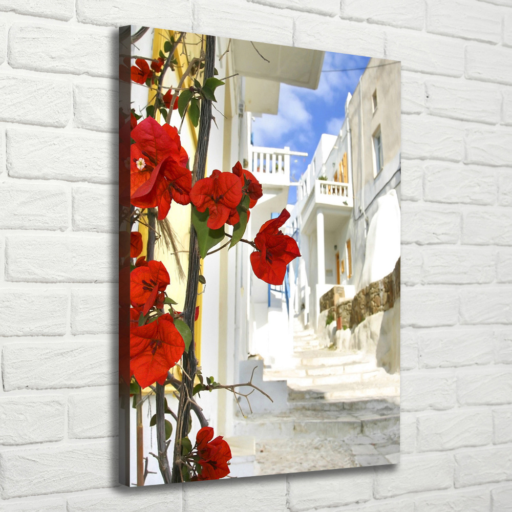 Tablou canvas Mykonos Grecia