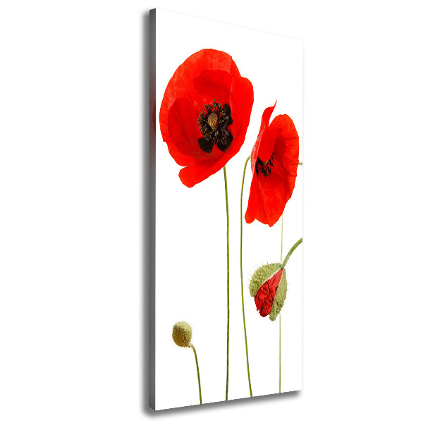 Print pe canvas wildflowers maci