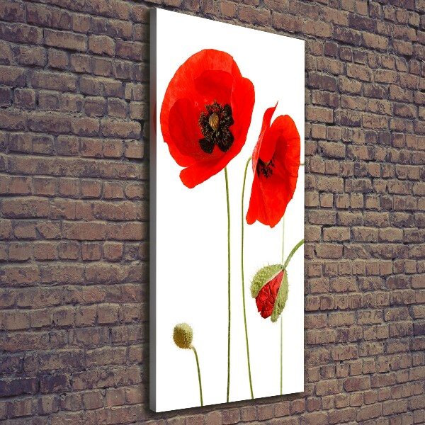 Print pe canvas wildflowers maci