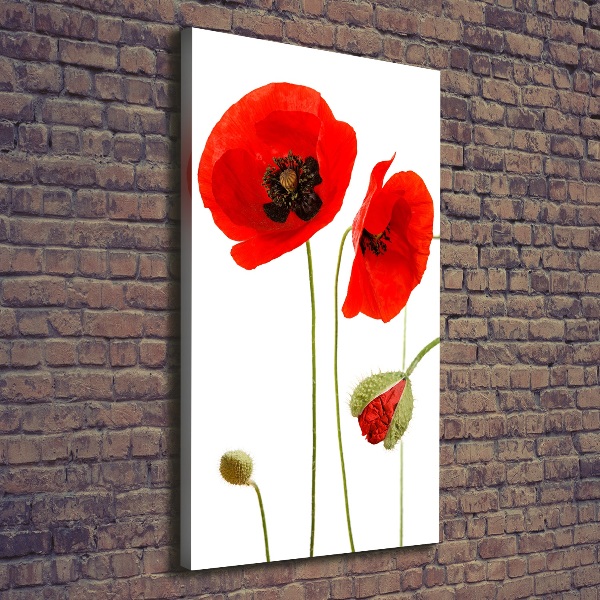 Print pe canvas wildflowers maci