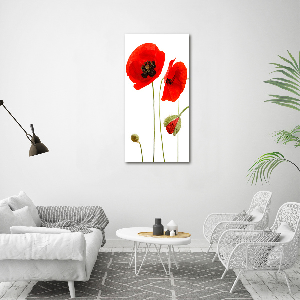 Print pe canvas wildflowers maci