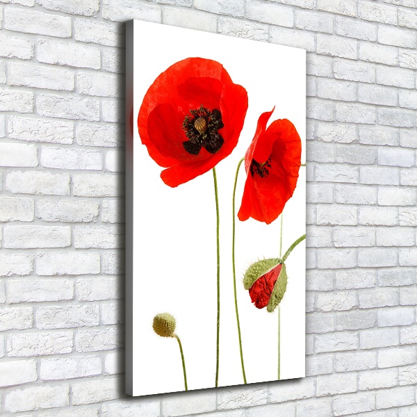 Print pe canvas wildflowers maci