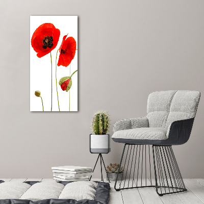 Print pe canvas wildflowers maci