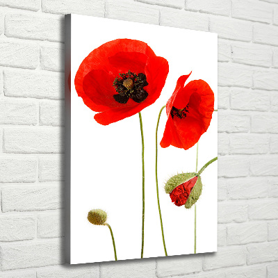 Print pe canvas wildflowers maci