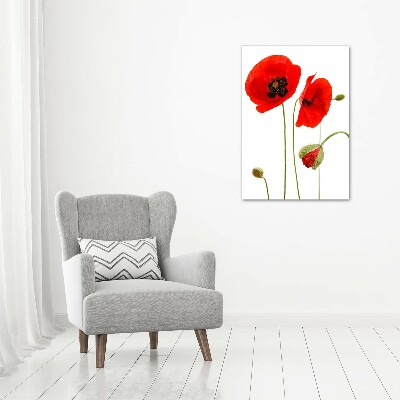 Print pe canvas wildflowers maci