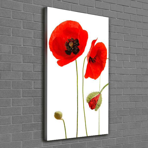 Print pe canvas wildflowers maci