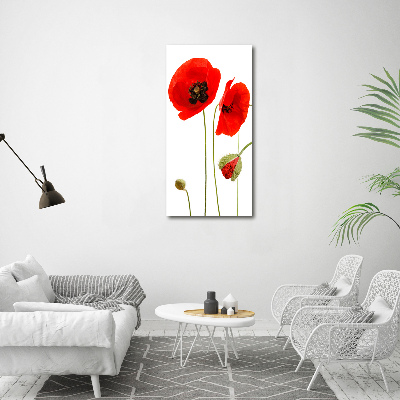 Print pe canvas wildflowers maci