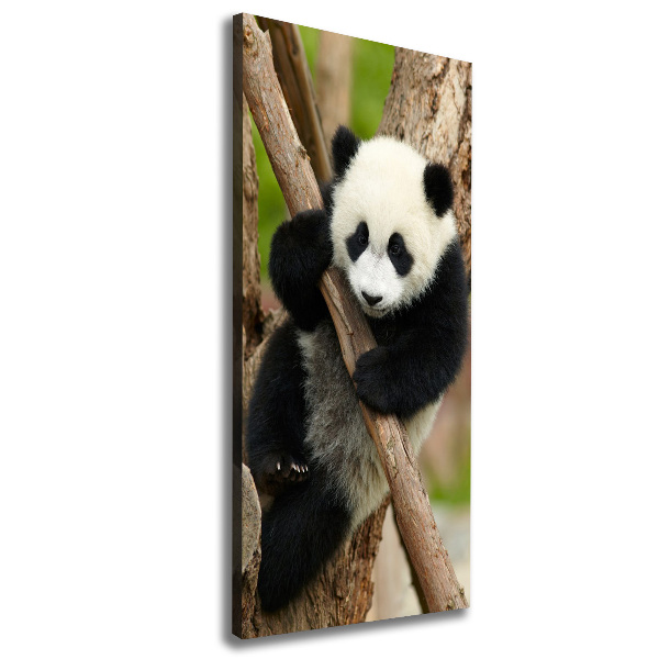 Tablou canvas Panda într-un copac