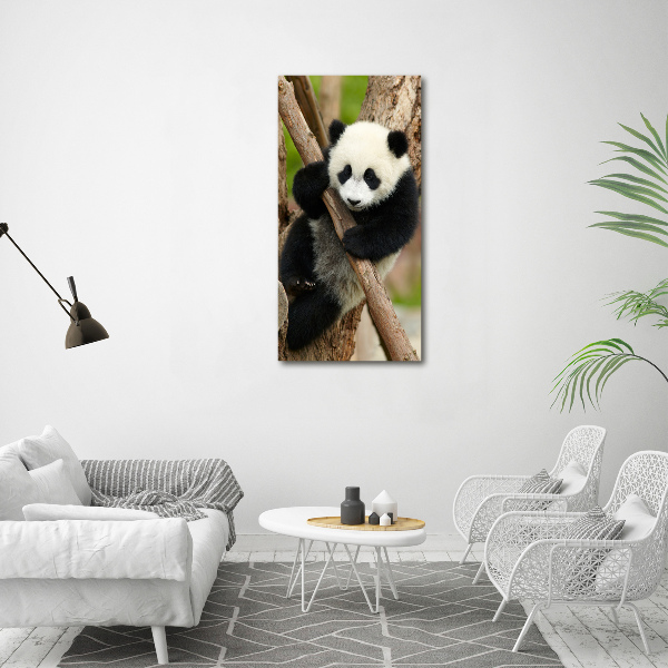 Tablou canvas Panda într-un copac