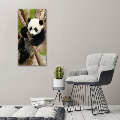 Tablou canvas Panda într-un copac