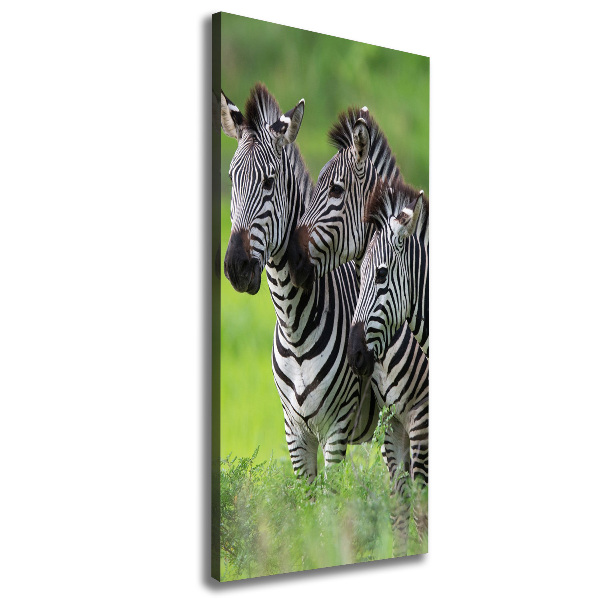 Tablou canvas trei zebre