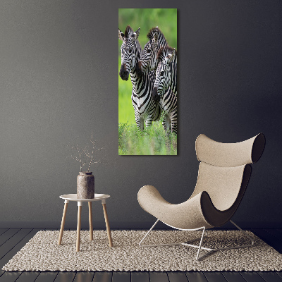 Tablou canvas trei zebre