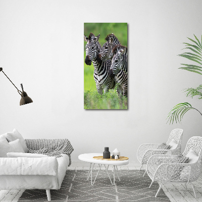 Tablou canvas trei zebre