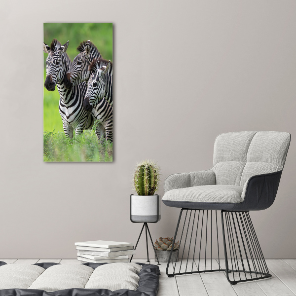 Tablou canvas trei zebre