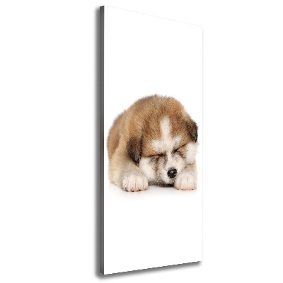 Tablou canvas Akita