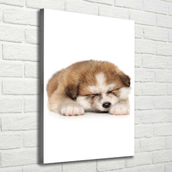 Tablou canvas Akita