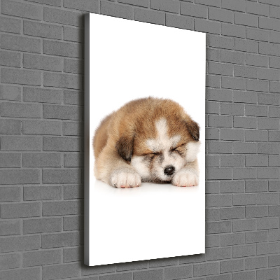 Tablou canvas Akita