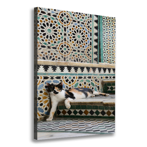 Tablou canvas Cat în Maroc