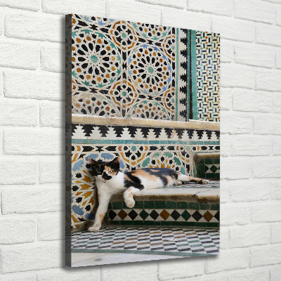 Tablou canvas Cat în Maroc