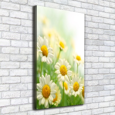 Pictură pe pânză margarete