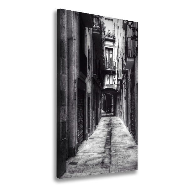 Tablou pe pânză Barcelona, ​​Spania