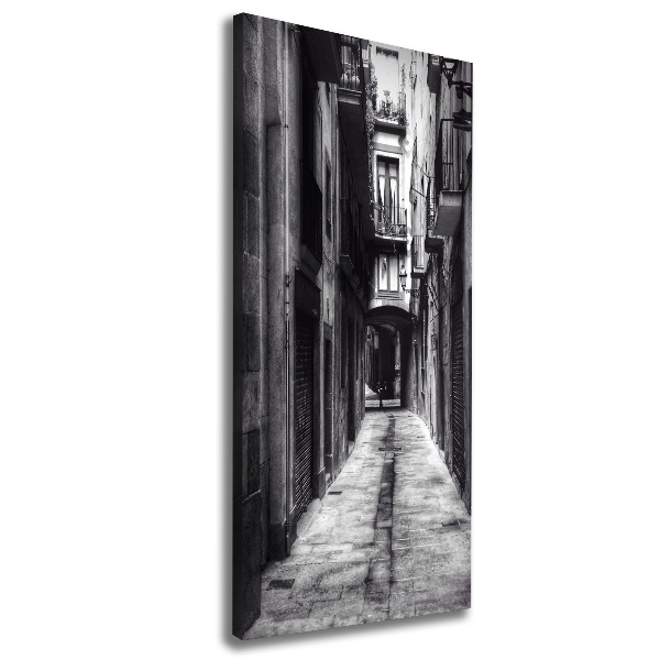 Tablou pe pânză Barcelona, ​​Spania