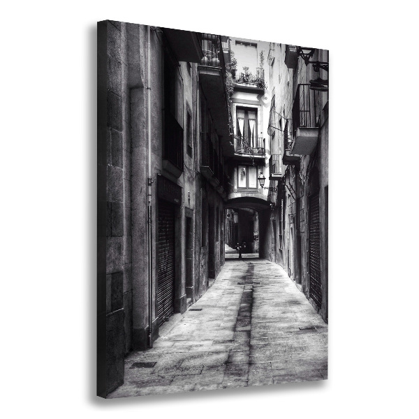 Tablou pe pânză Barcelona, ​​Spania