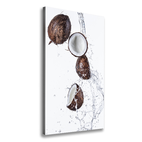 Imprimare tablou canvas nucă de cocos