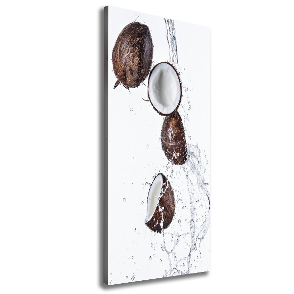 Imprimare tablou canvas nucă de cocos