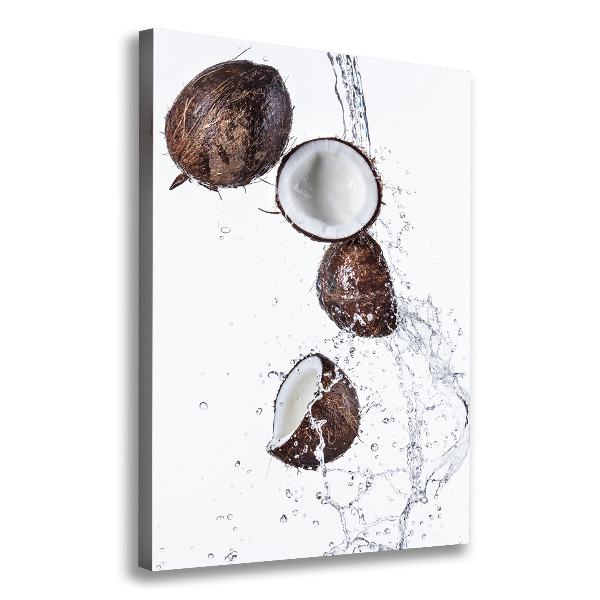 Imprimare tablou canvas nucă de cocos