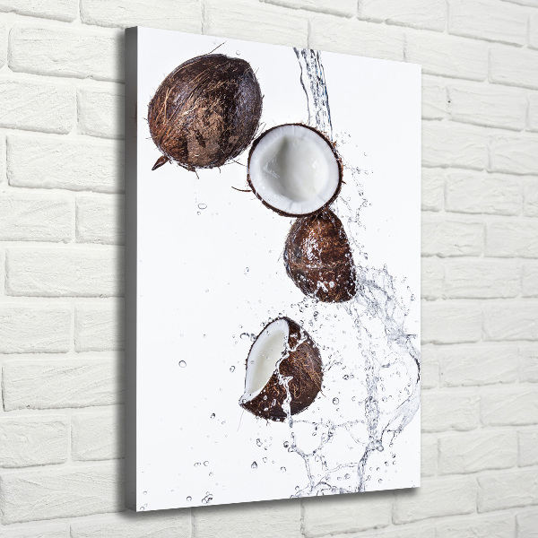 Imprimare tablou canvas nucă de cocos
