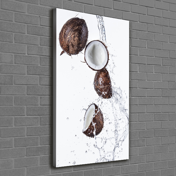 Imprimare tablou canvas nucă de cocos