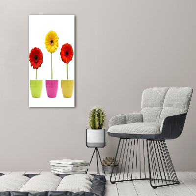 Pictură pe pânză gerbere colorate