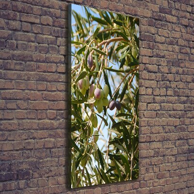 Tablou pe pânză canvas Măsline pe copac