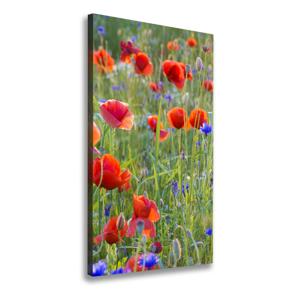 Print pe canvas wildflowers maci