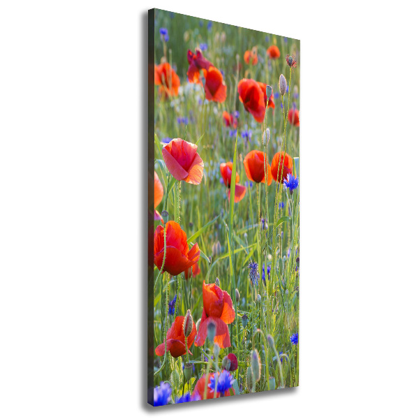 Print pe canvas wildflowers maci