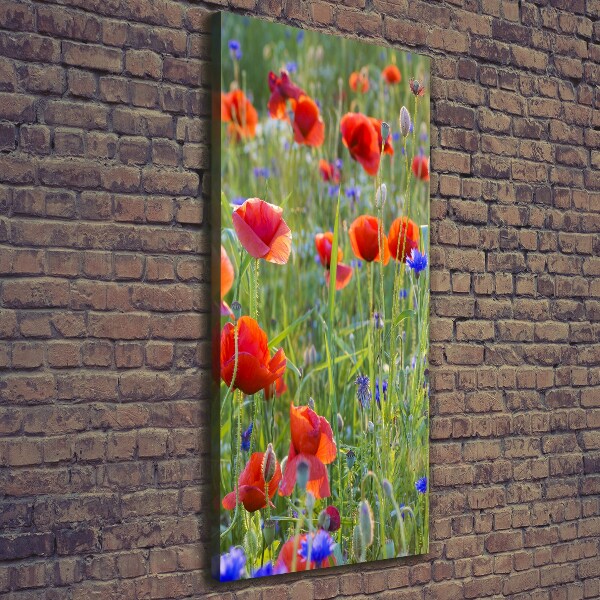 Print pe canvas wildflowers maci