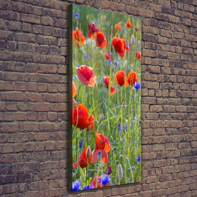 Print pe canvas wildflowers maci