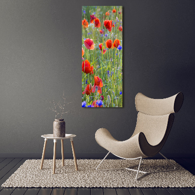 Print pe canvas wildflowers maci