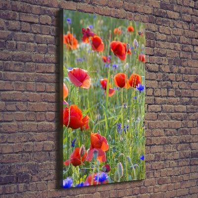 Print pe canvas wildflowers maci